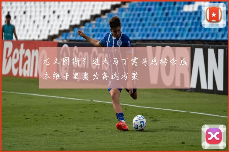 尤文图斯引进大马丁需考虑转会成本维卡里奥为备选方案